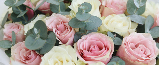 Thank You Flowers for Teachers, Babysitters, and Caregivers