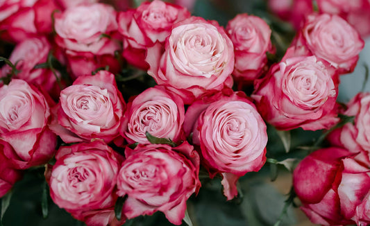 Spring Flowers for Graduations and Big Achievements