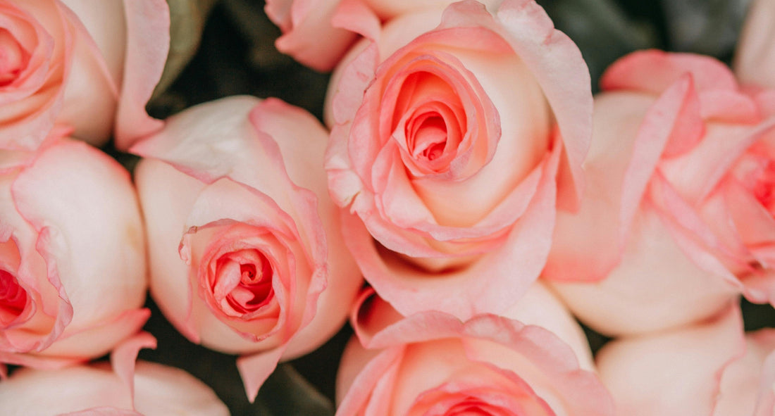 Thank You Flowers for Friends