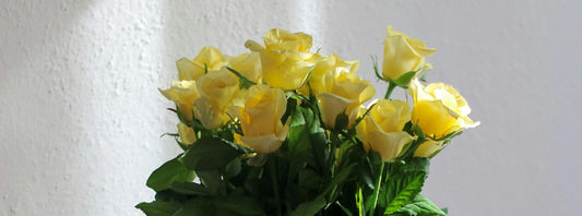 Sending Flowers to Your Grandparents is a Simple Gesture that Means So Much