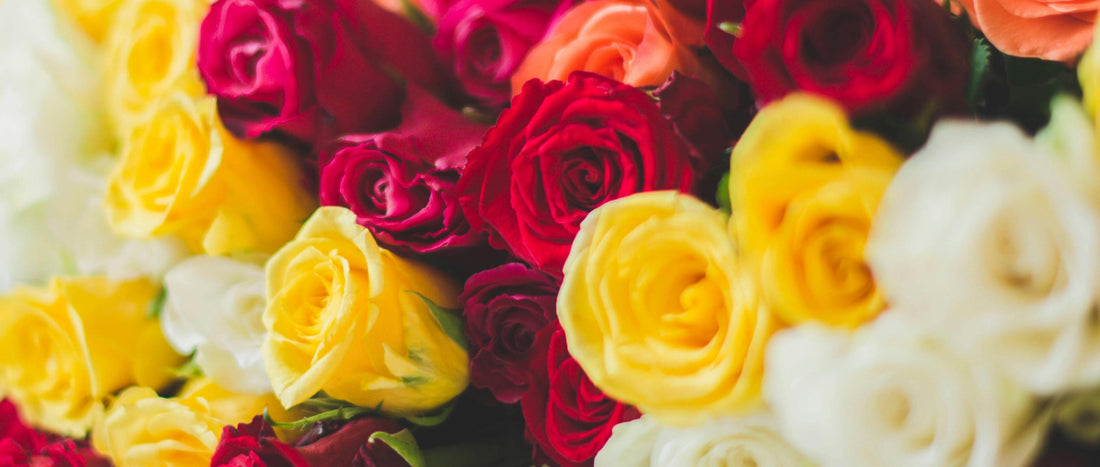 Send Flowers for a Fall Move-In Surprise