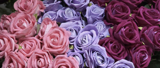 Why Spring Is the Right Time to Reconnect with Friends