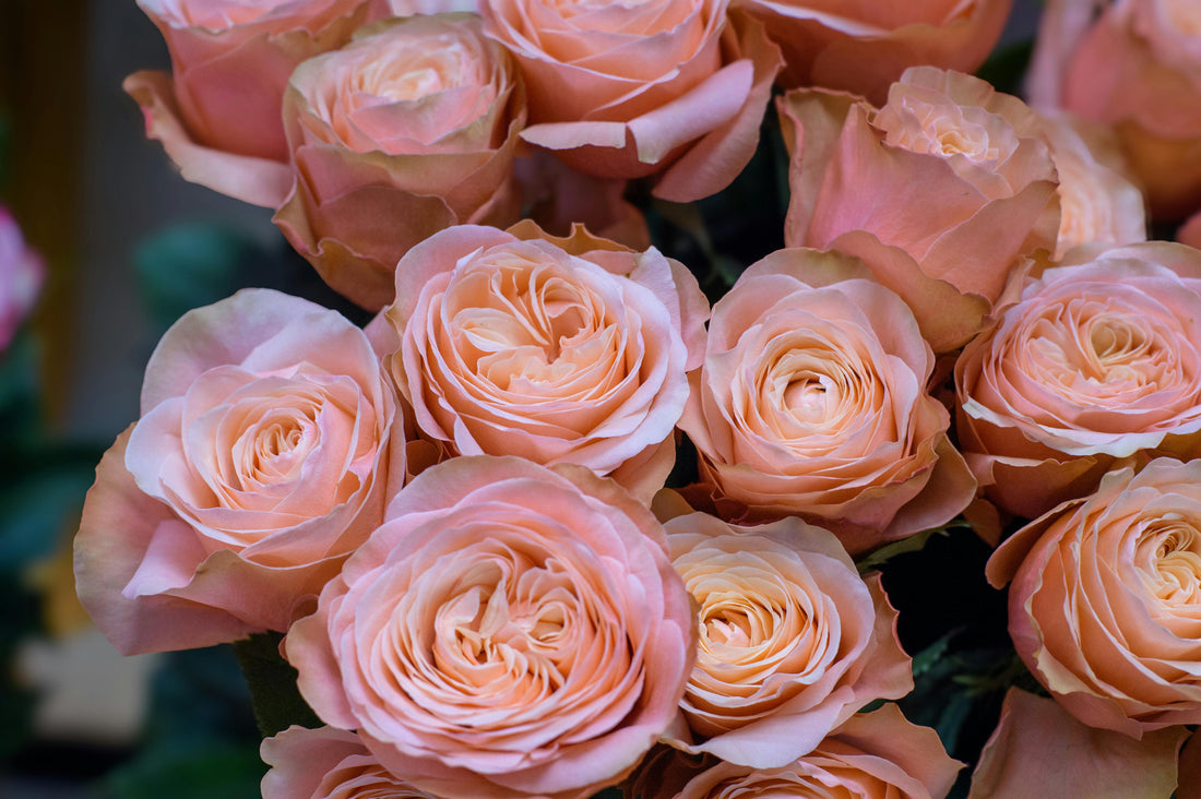 Why Sending Flowers Is Always the Right Choice