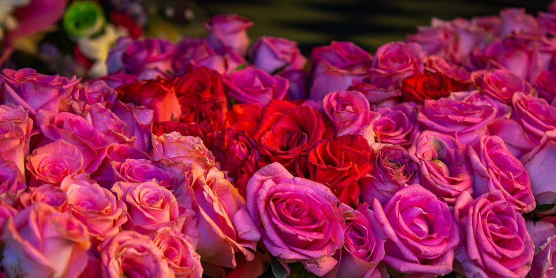Sending Get Well Soon Flowers That Truly Lift Their Spirits