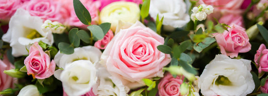 Spring Flowers for Apologies and Fresh Starts