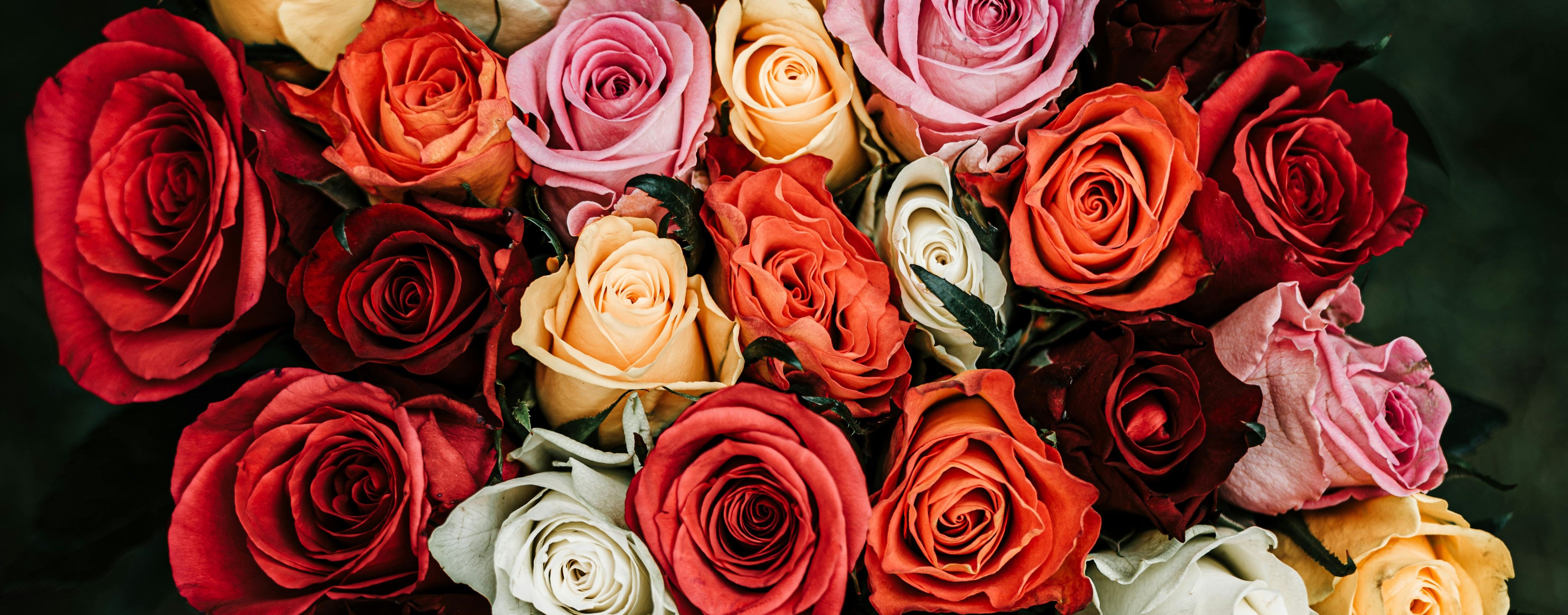 Luxury Rose Bouquet for Special Moments | Aquarossa Farms