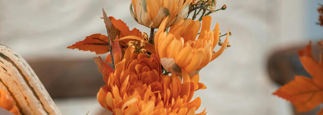 Preparing Your Home for Fall: Flowers to Transition into Autumn