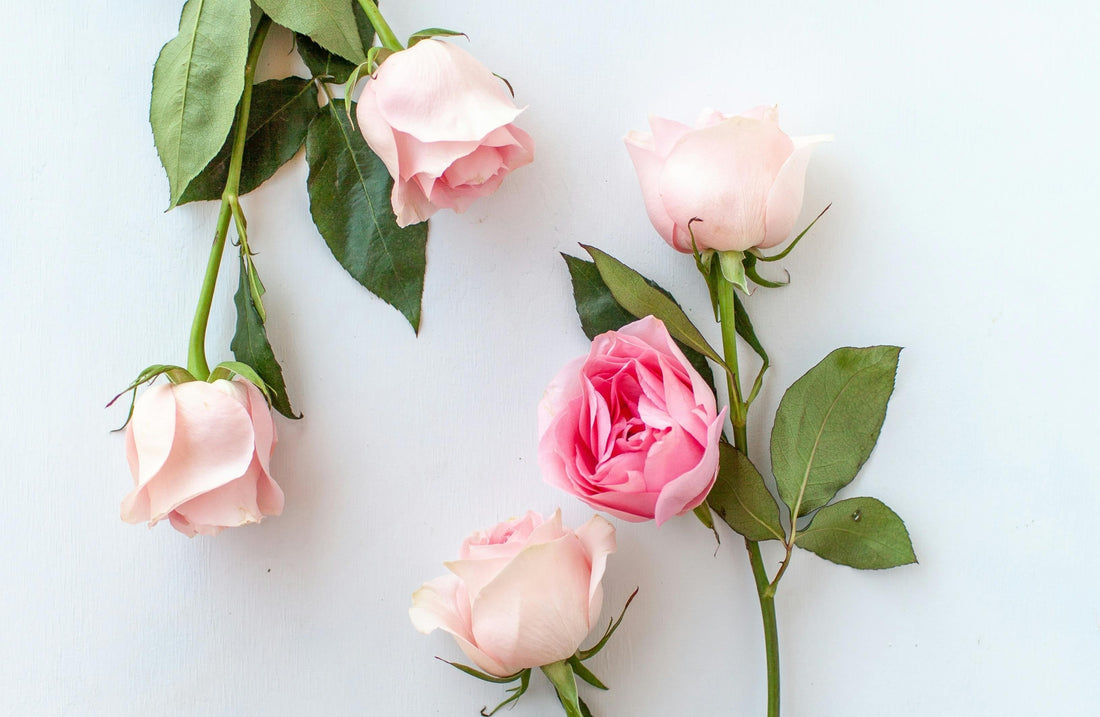 Spring Flowers for Last Minute Planners and Thoughtful Early Birds