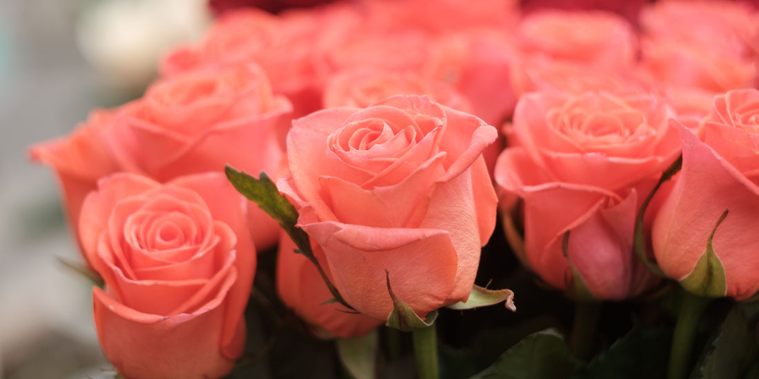 Why Flowers Are the Best Last Minute Birthday Gift