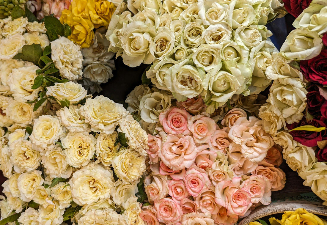 The Simple Purpose Behind Daily Flowers