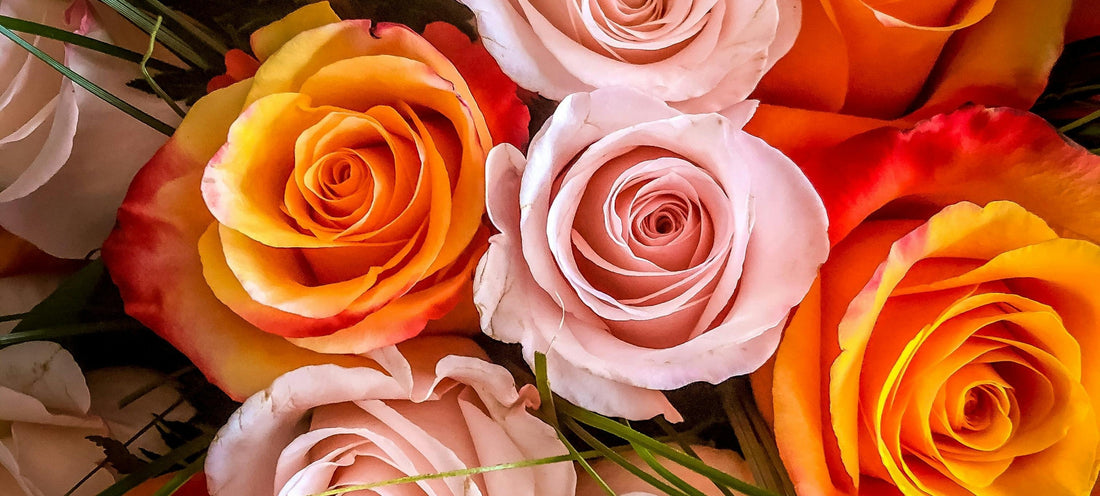 Roses for the Friend Who Feels Like Family
