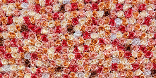 The Sweetest Rose Colors to Welcome a New Baby Home