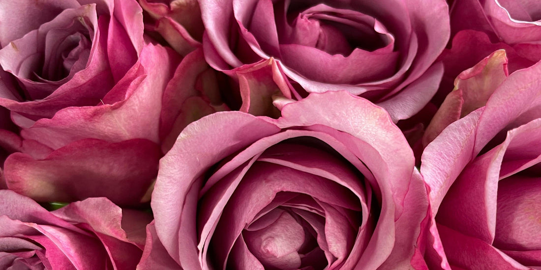 Thank You Flowers for Teachers from Grateful Families