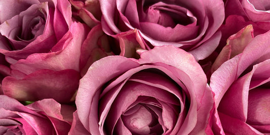 Thank You Flowers for Teachers from Grateful Families