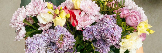 Sending Flowers to Friends Online Just Because You Can