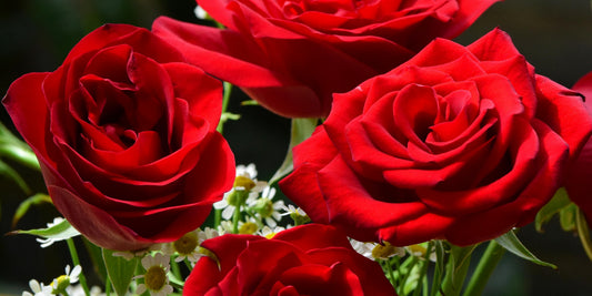 Sending Roses to Your Wife on Mother’s Day