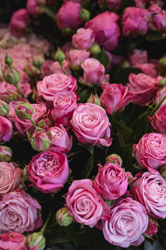 5 Thoughtful Reasons to Send Flowers to a Friend This Spring
