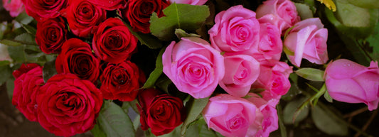 Why Flowers Still Matter in a Long Term Relationship