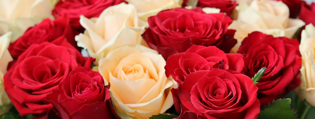 Holiday Flower Gifts That Feel Personal for Everyone on Your List