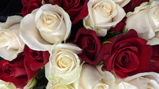 A Cozy Christmas Gift That Always Delivers Warmth