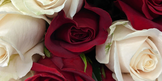 Bring Roses to the BBQ and Surprise Your Host with Something Special
