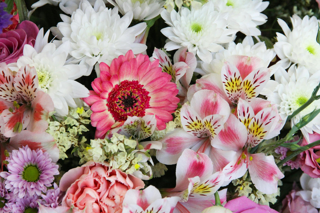 Flowers for Every Fresh Chapter
