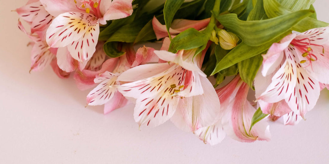 Three Thoughtful Sympathy Flower Bouquets for Next Day Delivery