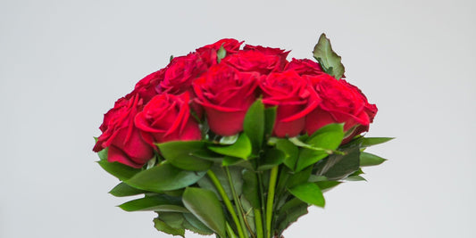 Sending Roses to a Friend When They Need a Little Pick Me Up