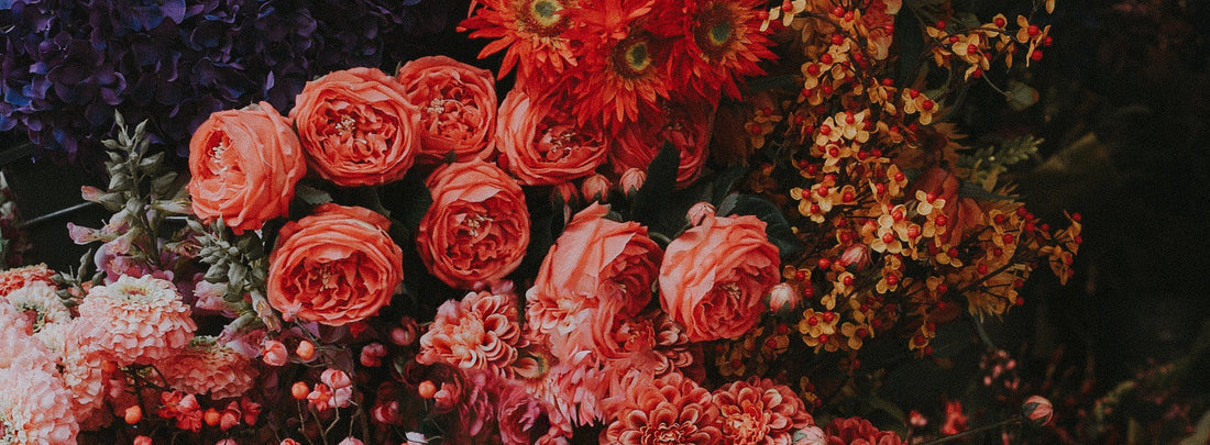 Why Roses Are the Most Versatile Gift You Can Send