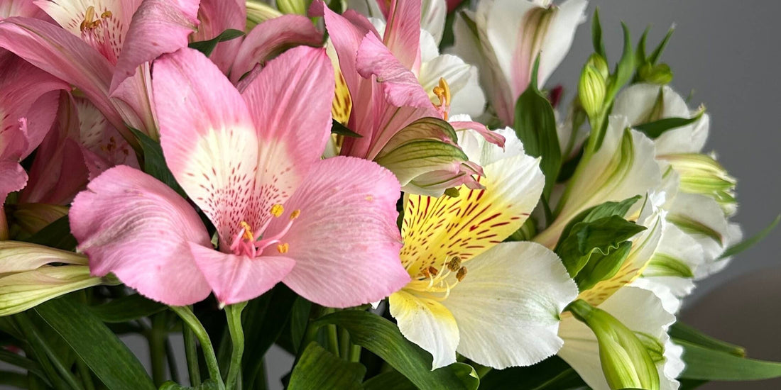 Why Realtors Should Send Flowers on Closing Day