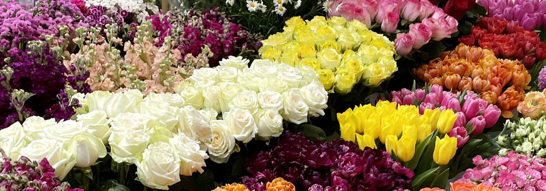 New Baby Flowers for Friends: Brightening Their First Days Home