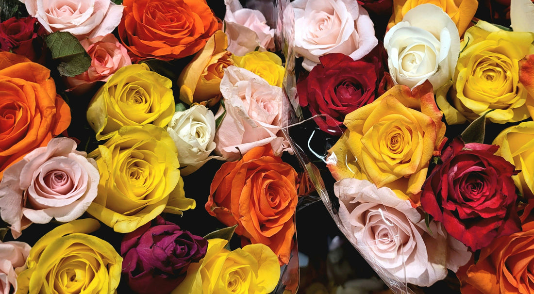 Get Well Soon Flowers with Assorted Color Roses for a Brighter Recovery