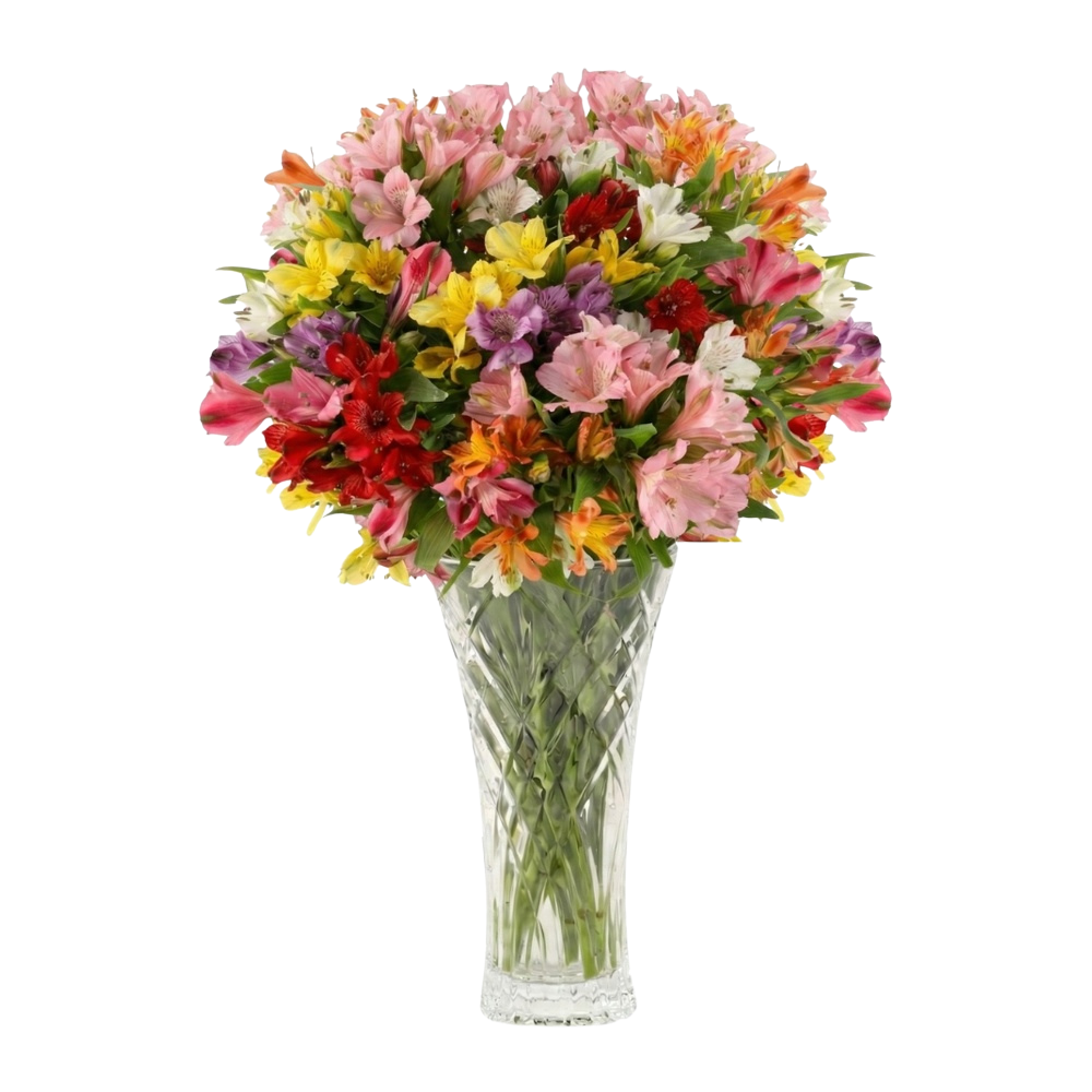 Alstro Celebration bouquet of 20 colorful alstroemeria stems by Aquarossa Farms