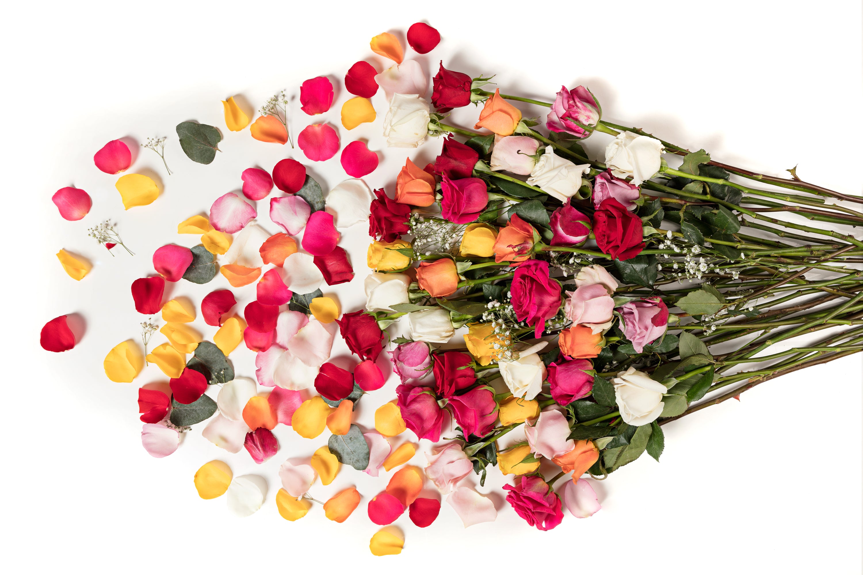 Bouquet of assorted roses – Aquarossa Farms