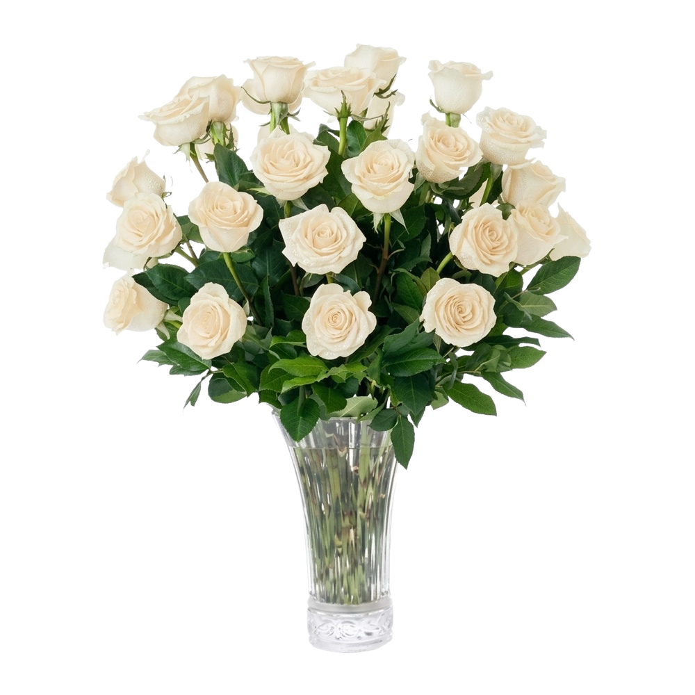 Cloud 9 bouquet of 2 dozen white roses by Aquarossa Farms