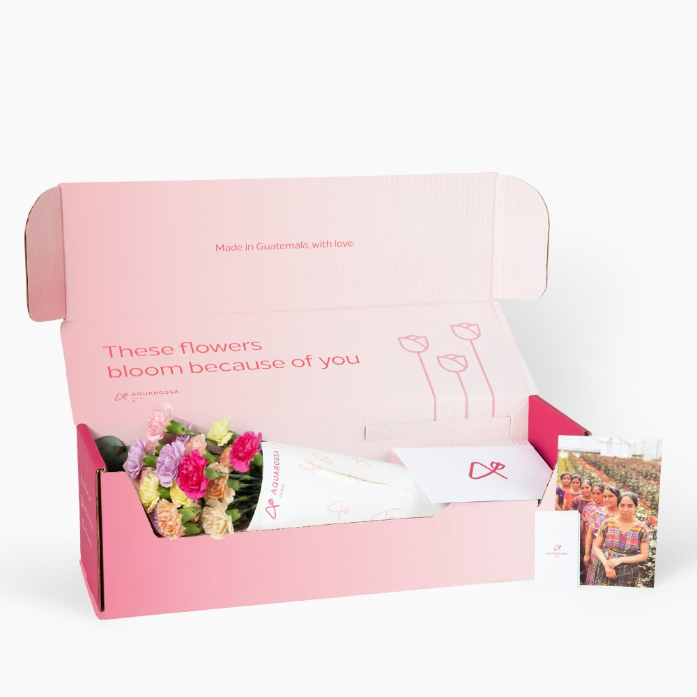 Joyful Minis – Aquarossa Farms