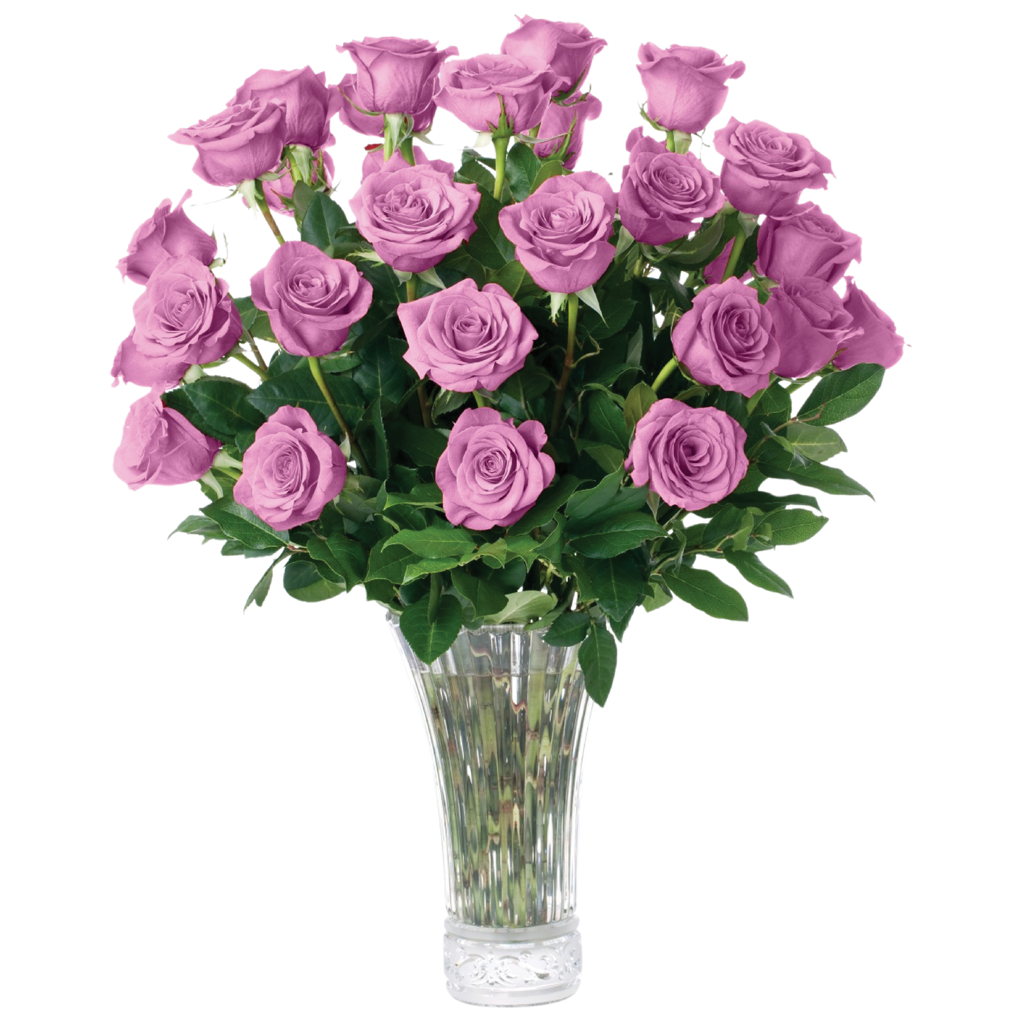 Bouquet of lavender roses