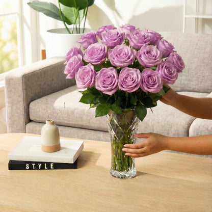 Elegant Calm