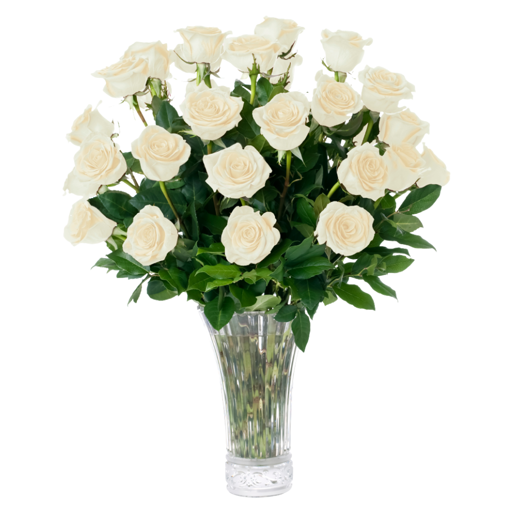 A bouquet of 20 fresh white roses with green leaves arranged in a clear glass vase, isolated on a white background.