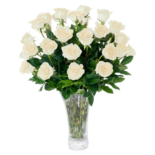 A bouquet of 20 fresh white roses with green leaves arranged in a clear glass vase, isolated on a white background.